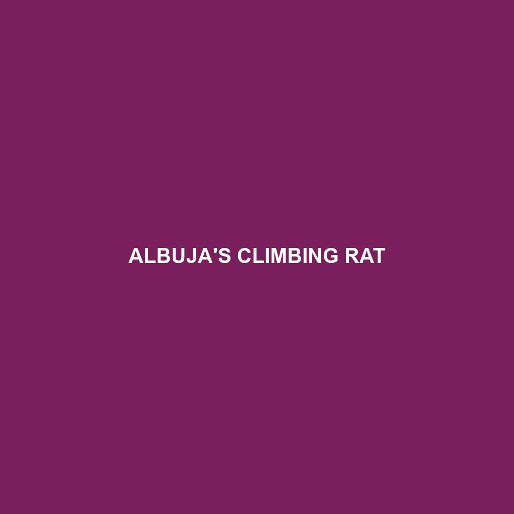 Albuja's Climbing Rat