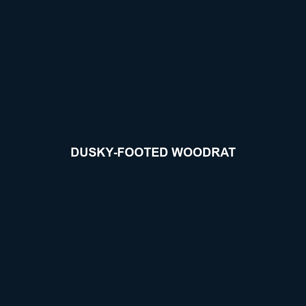 Dusky-footed Woodrat