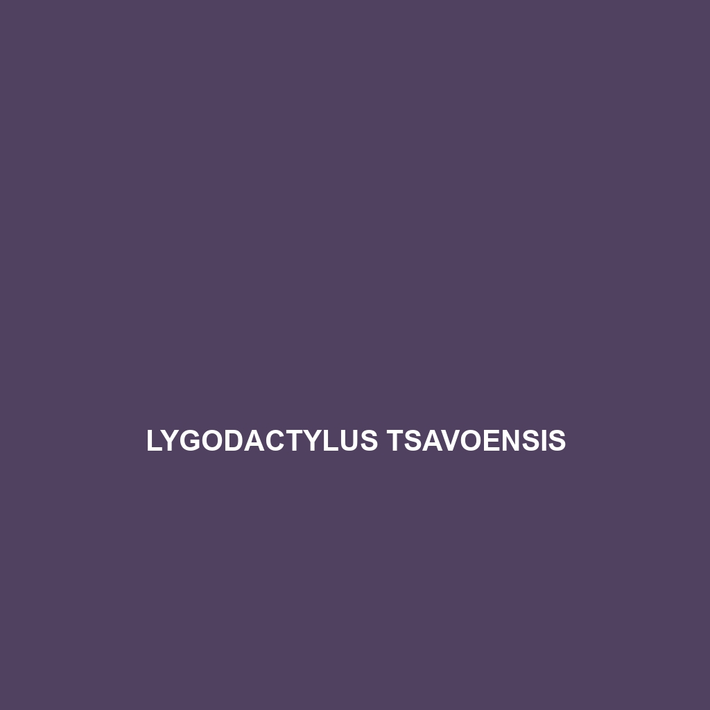 Lygodactylus tsavoensis