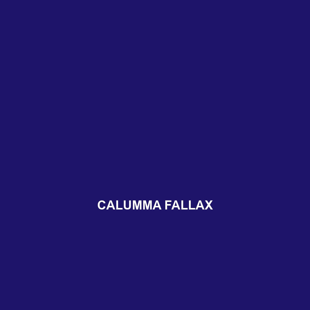 Calumma fallax