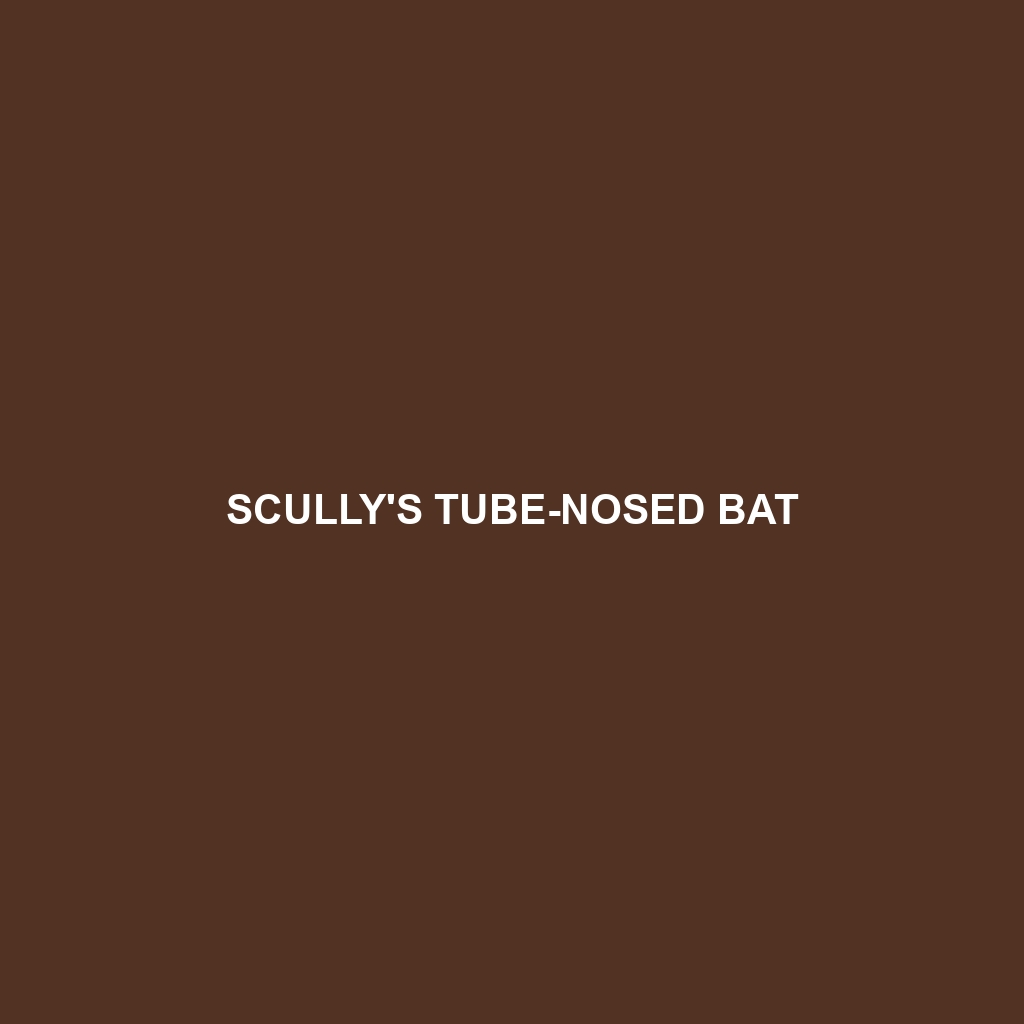 Scully's Tube-nosed Bat