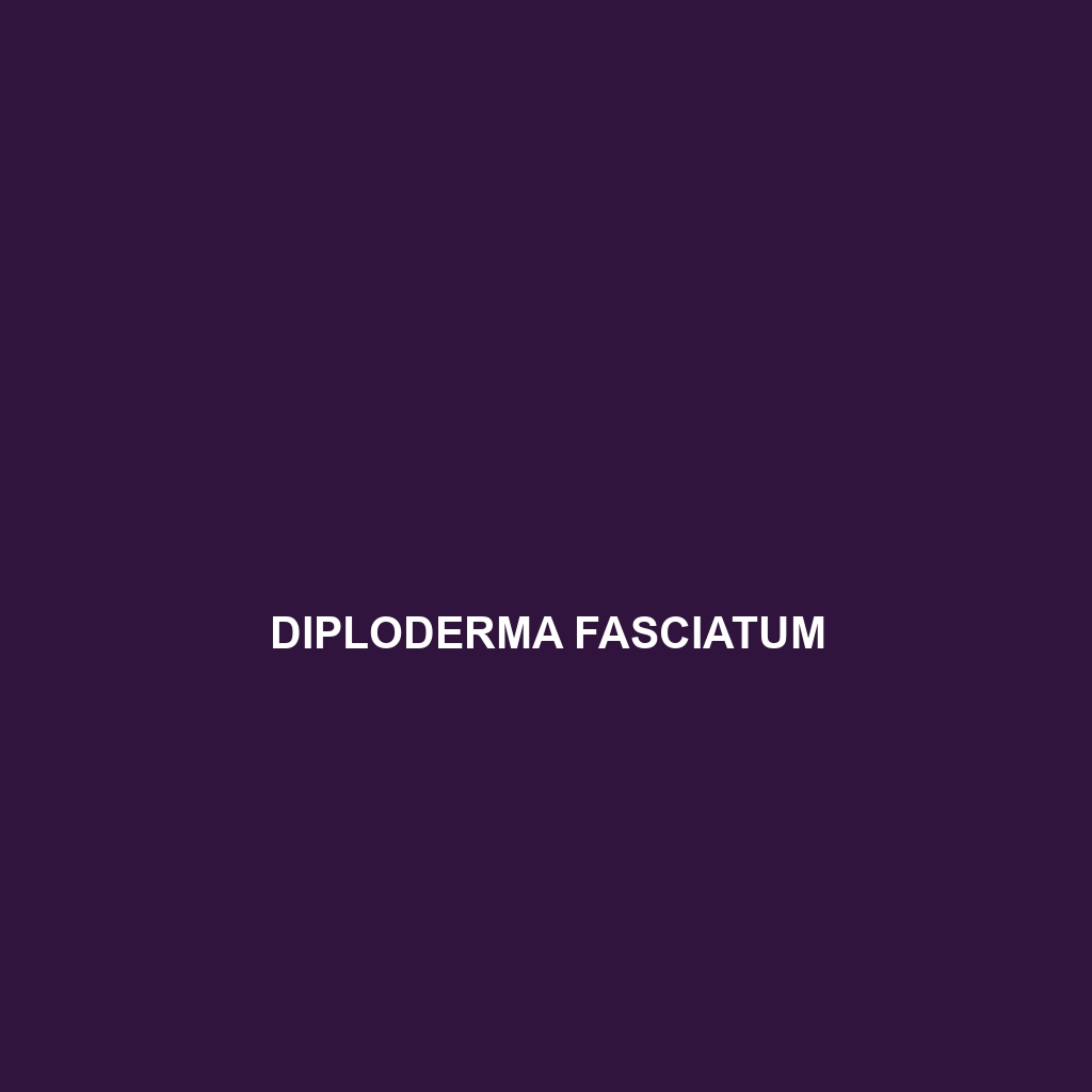 Diploderma fasciatum