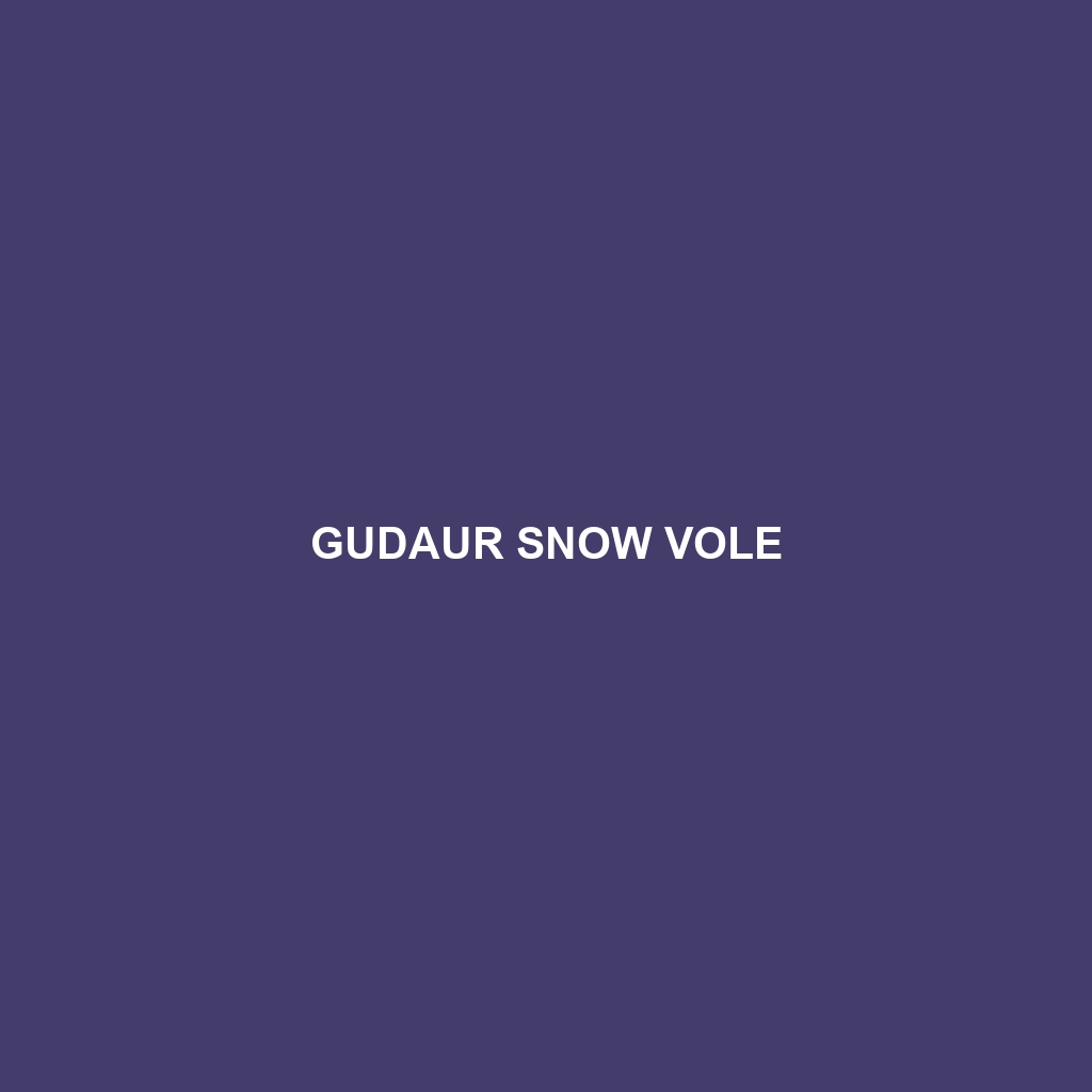 Gudaur Snow Vole