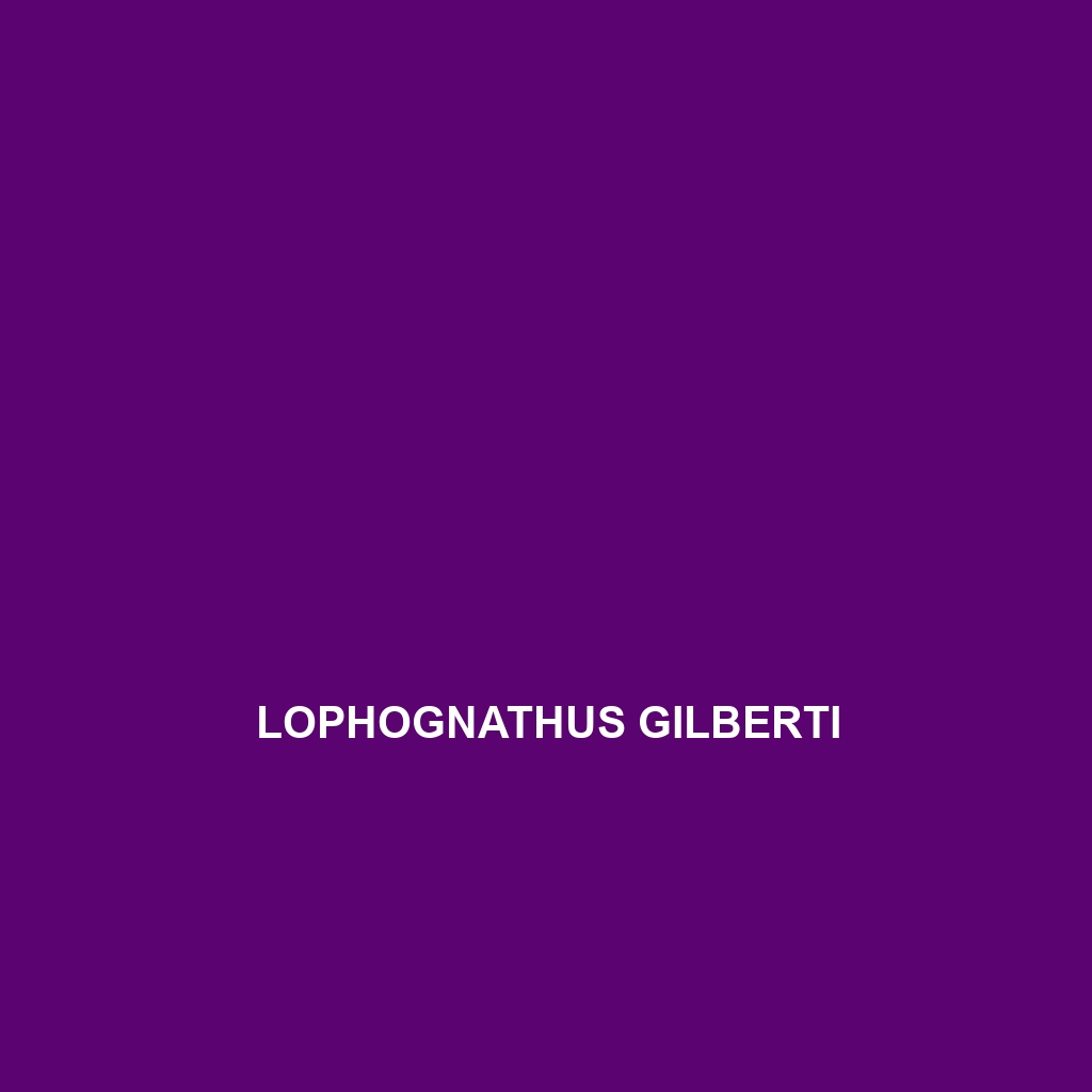 Lophognathus gilberti