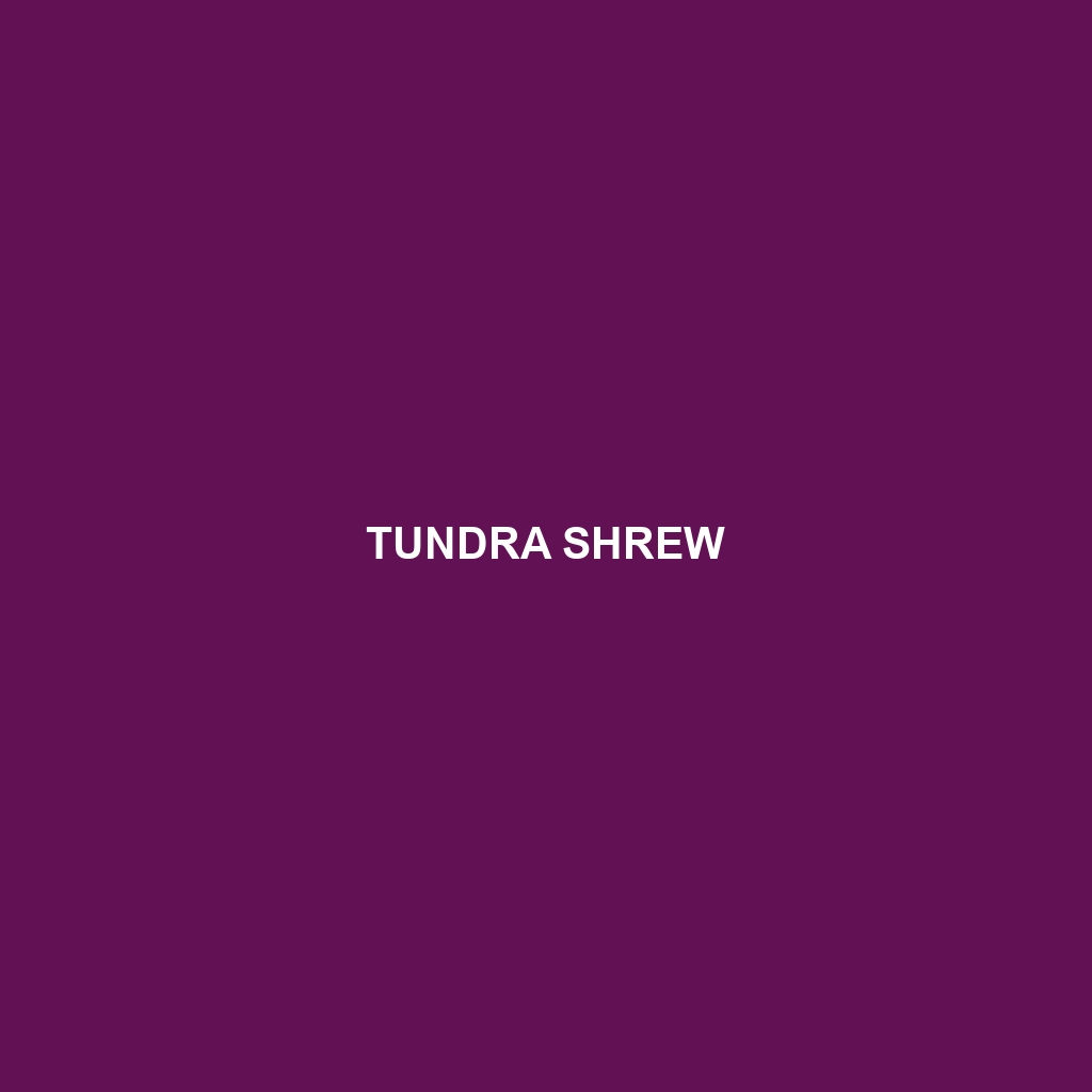 Tundra Shrew