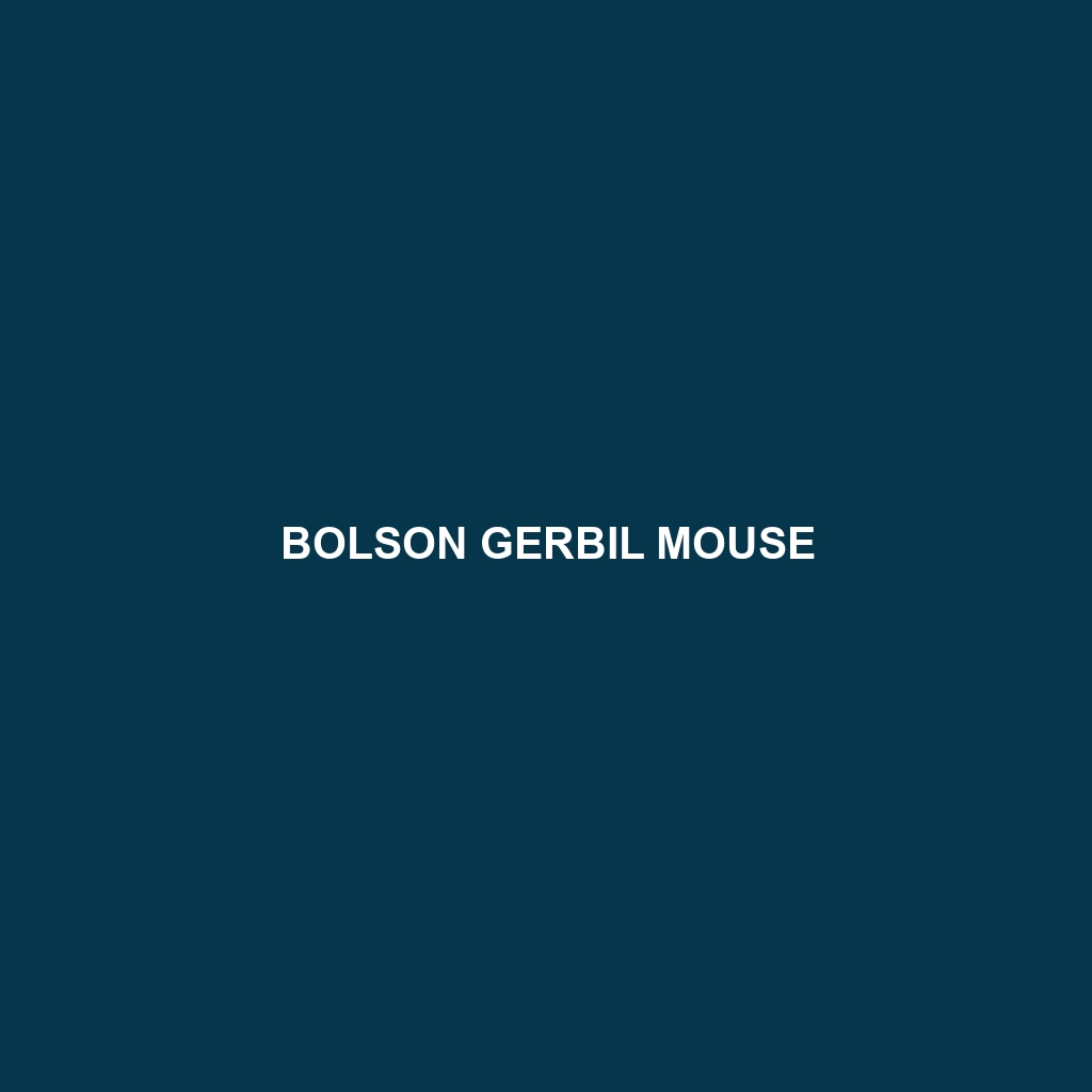 Bolson Gerbil Mouse