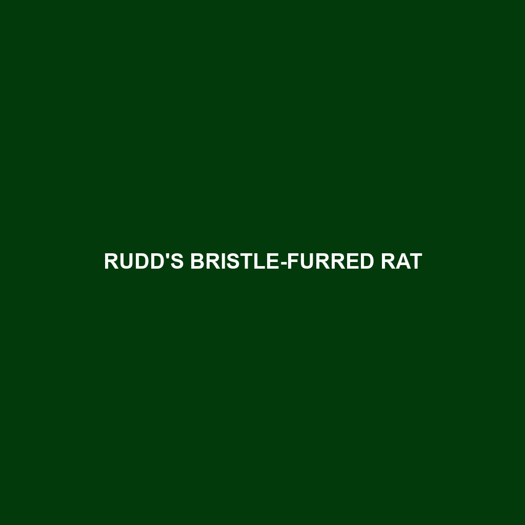 Rudd's Bristle-furred Rat