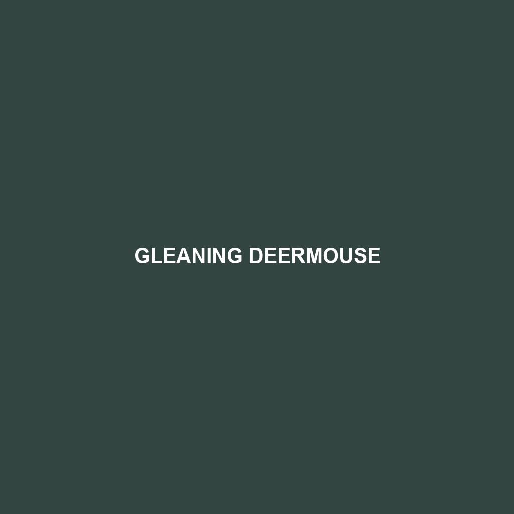 Gleaning Deermouse