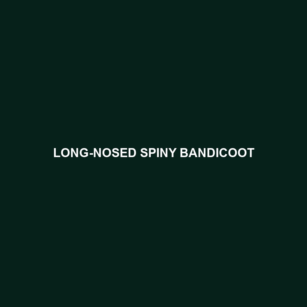 Long-nosed Spiny Bandicoot