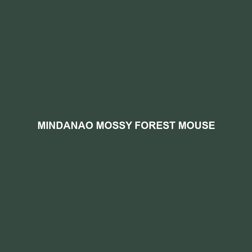 Mindanao Mossy Forest Mouse