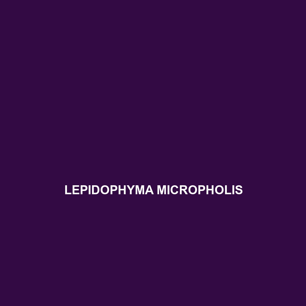 Lepidophyma micropholis