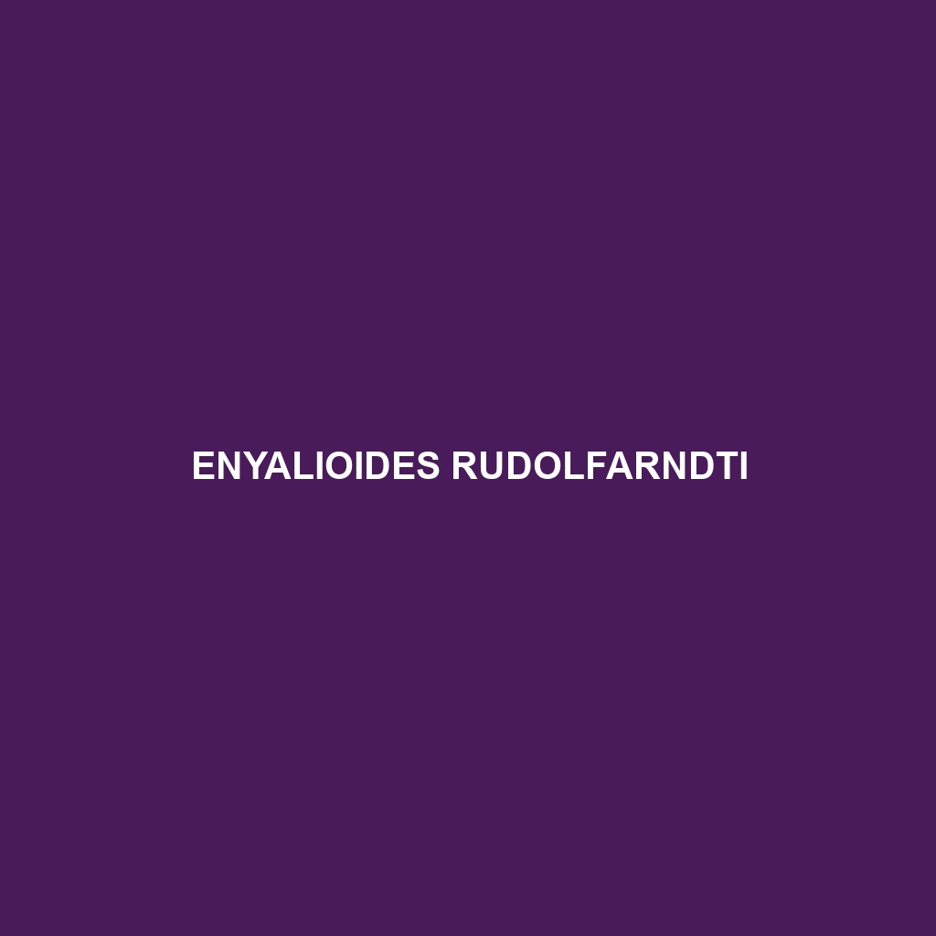 Enyalioides rudolfarndti