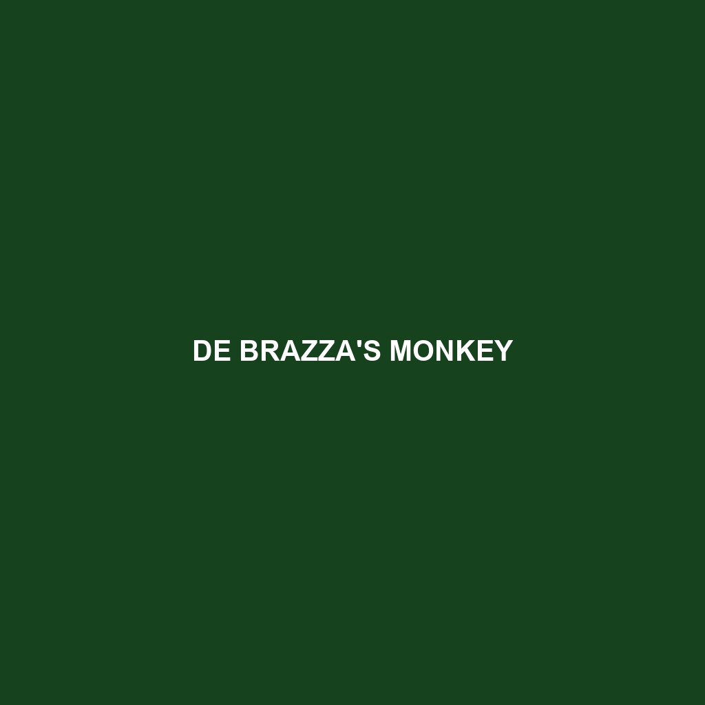 De Brazza's Monkey