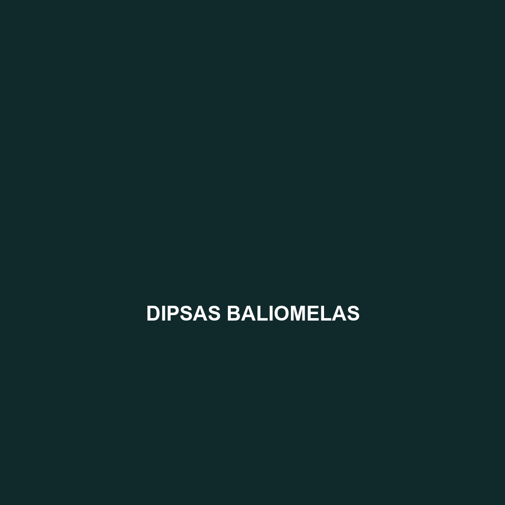 Dipsas baliomelas