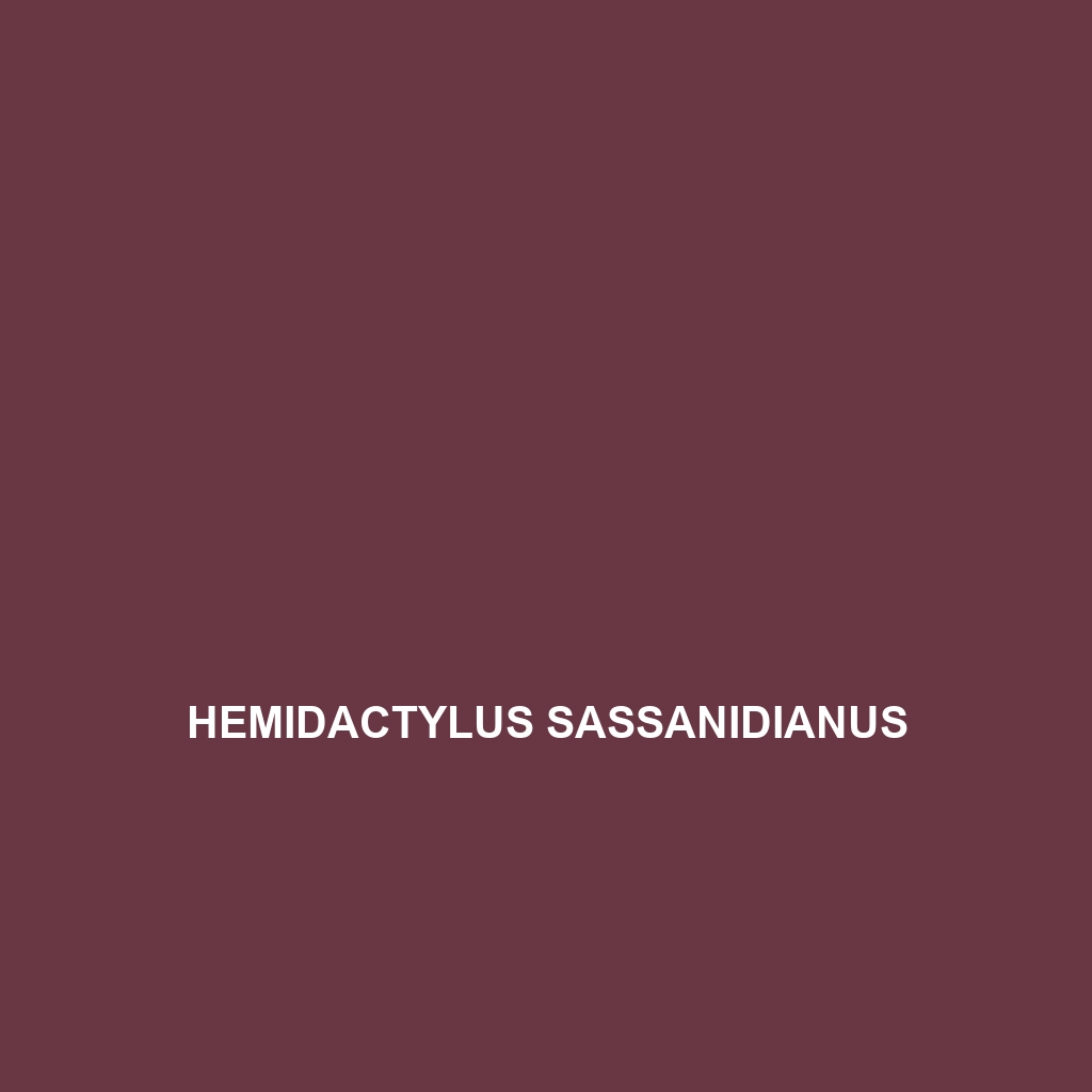 Hemidactylus sassanidianus