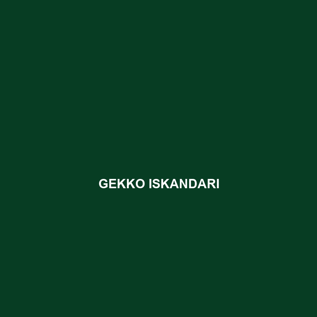 Gekko intermedium