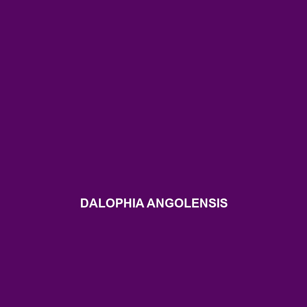 Dalophia angolensis