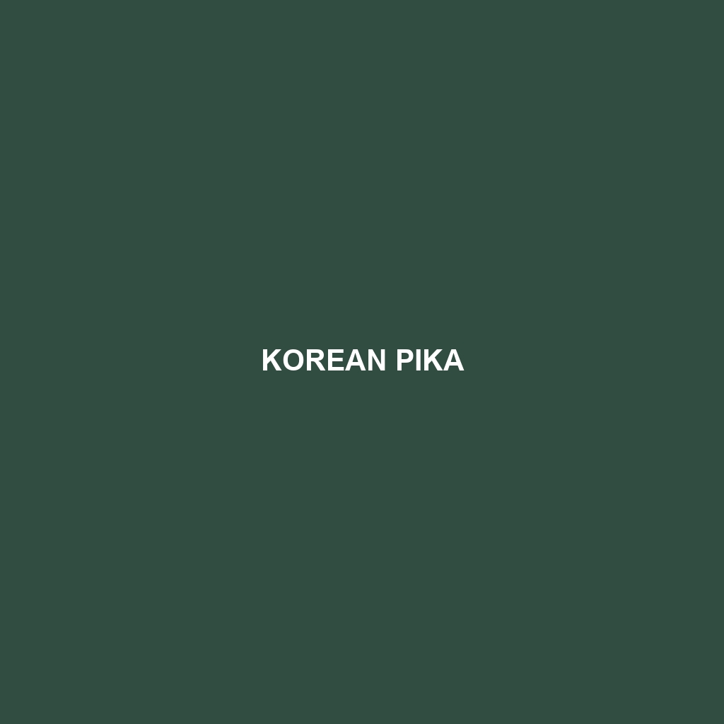 Korean Pika