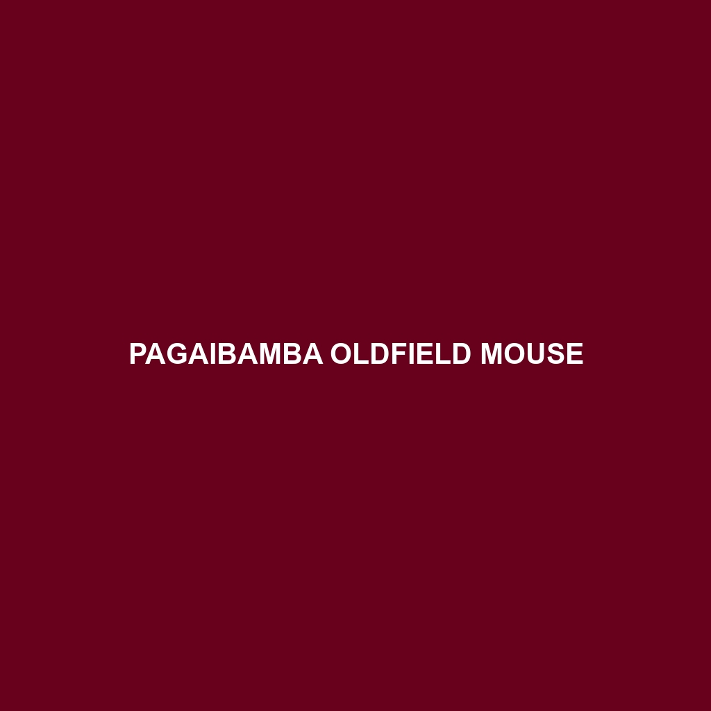 Pagaibamba Oldfield Mouse