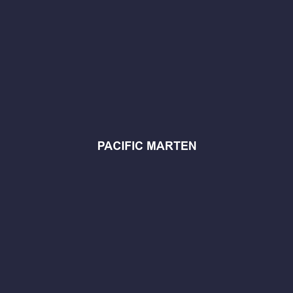 Pacific Marten