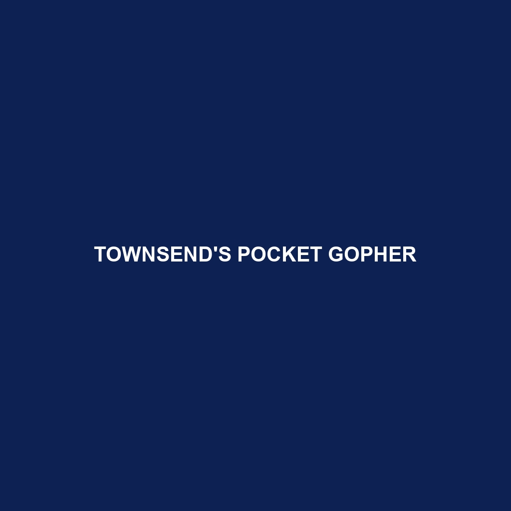 Townsend's Pocket Gopher