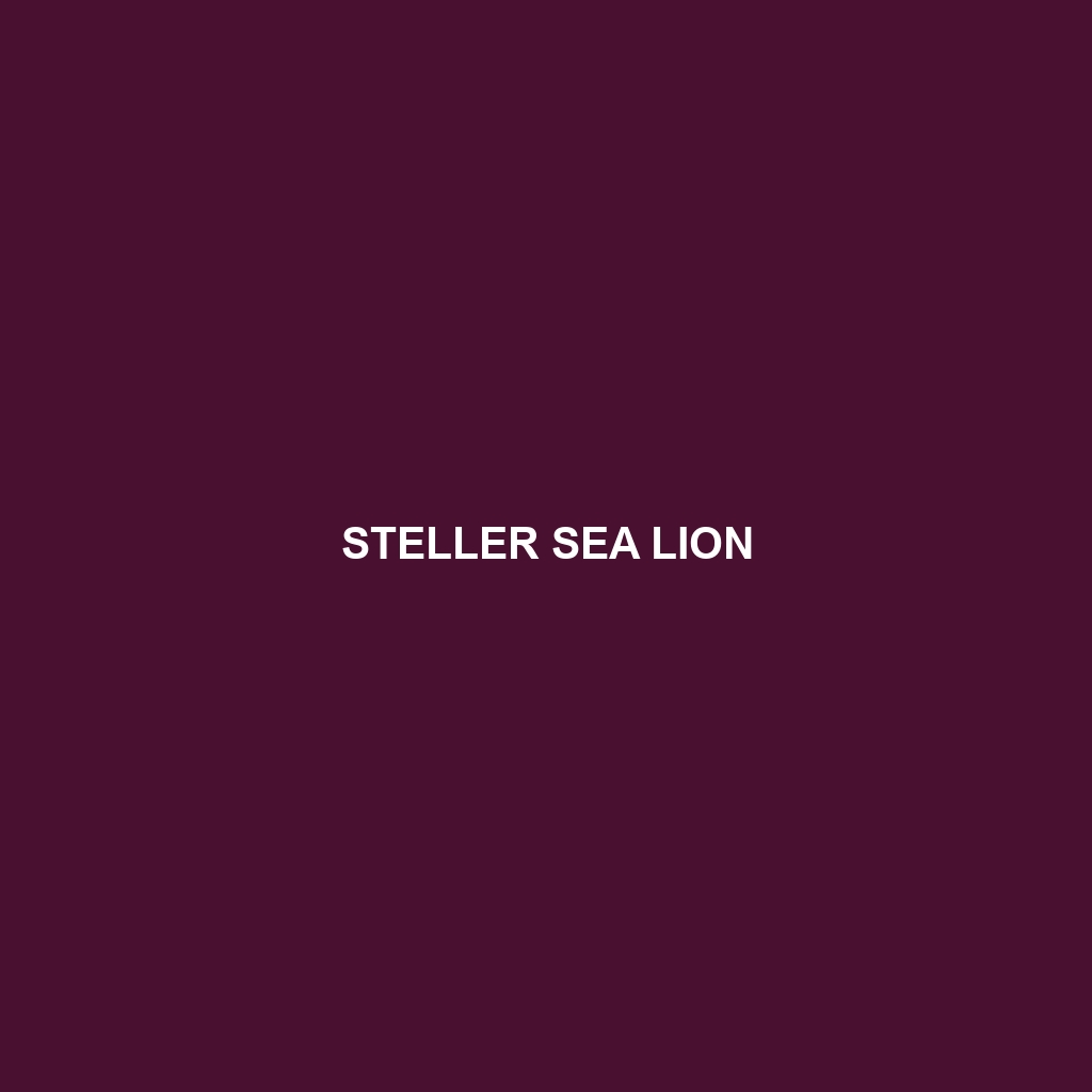 Steller Sea Lion