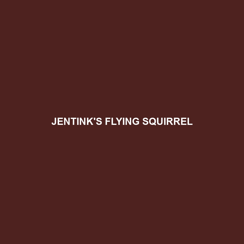 Jentink's Flying Squirrel