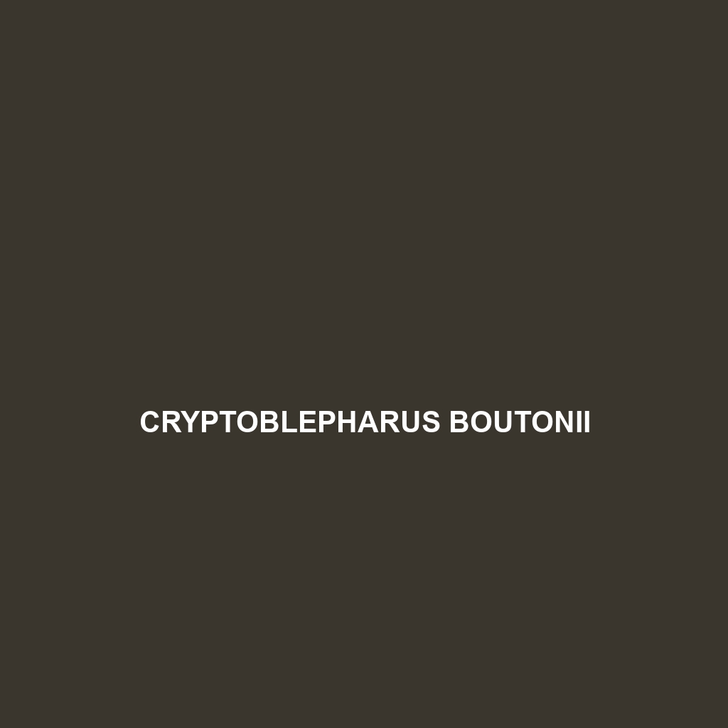 Cryptoblepharus boutonii