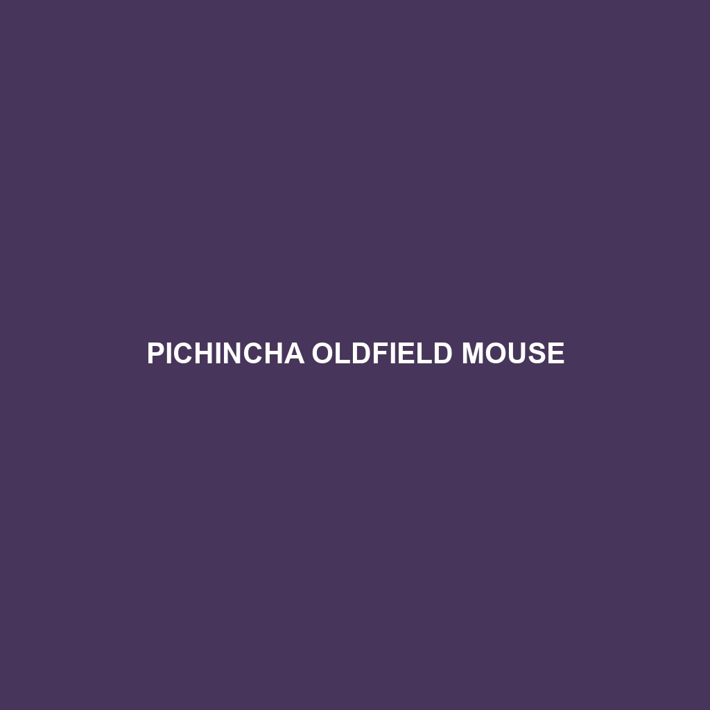 Pichincha Oldfield Mouse