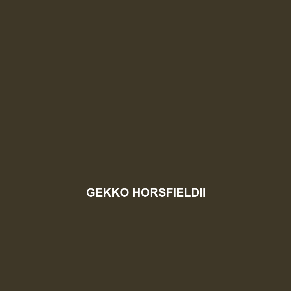 Gekko horsfieldii