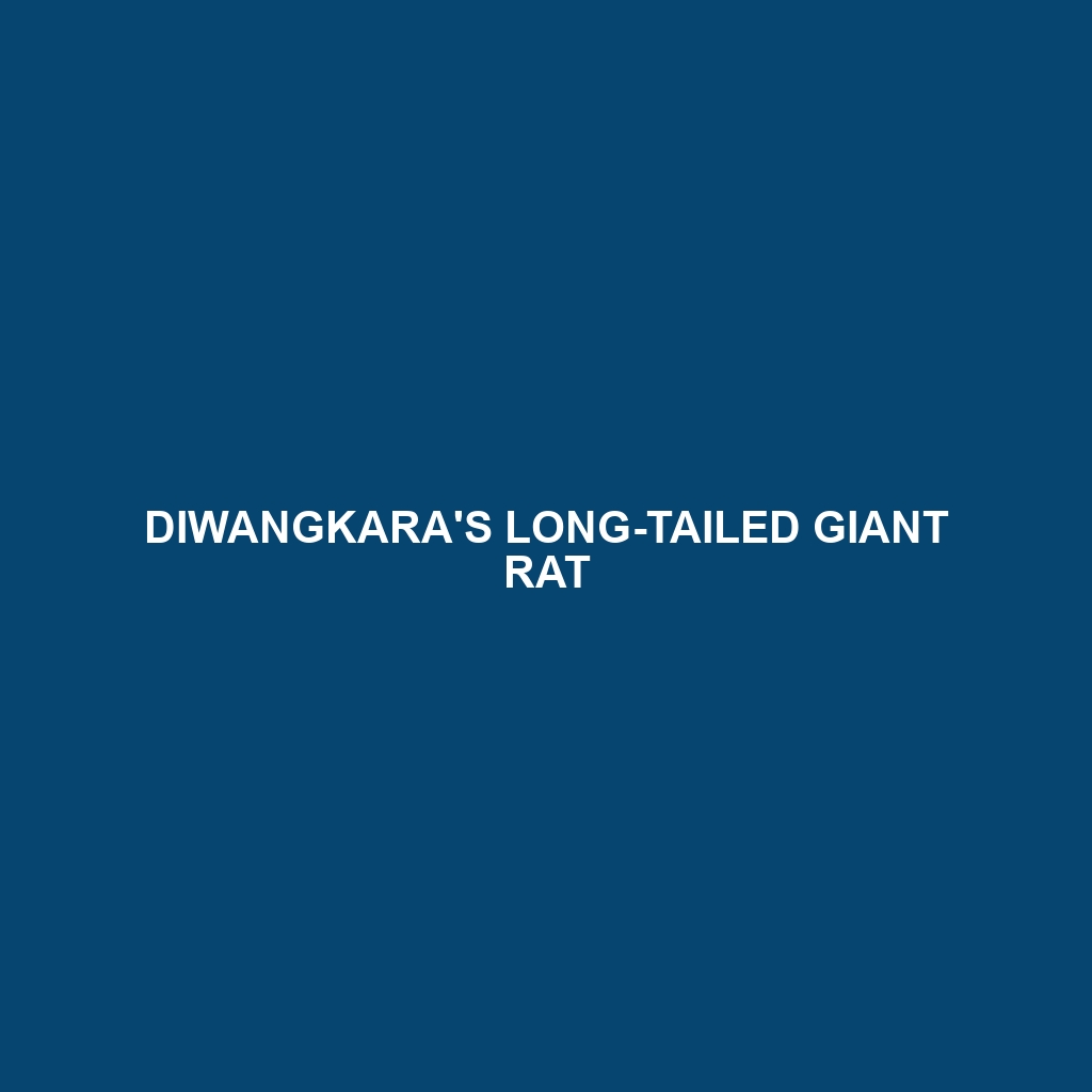 Diwangkara's Long-tailed Giant Rat