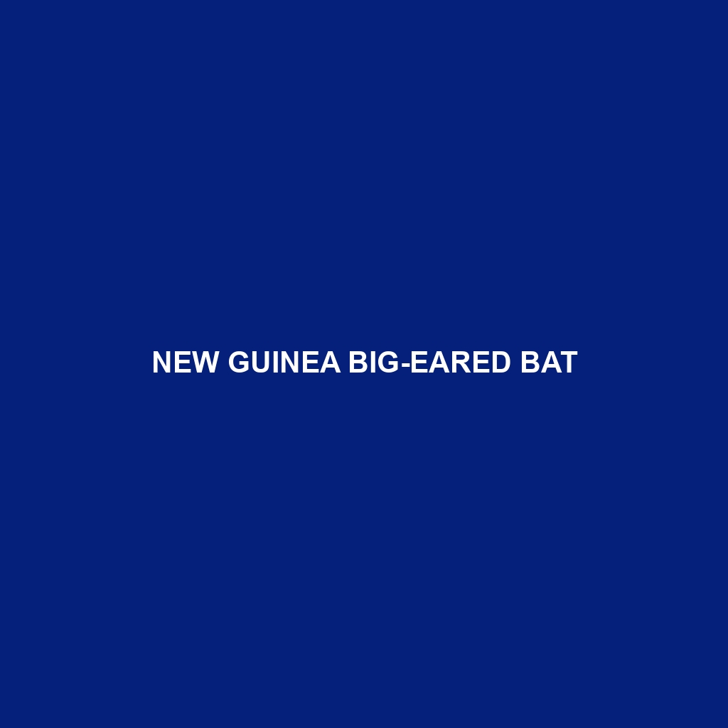 New Guinea Big-eared Bat