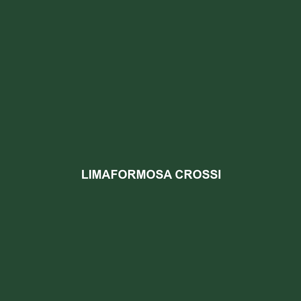 Limaformosa crossi