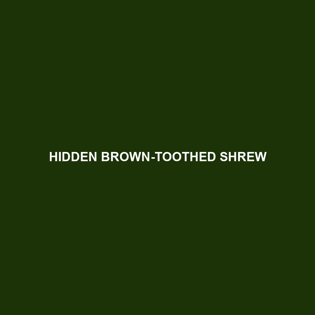 Hidden Brown-toothed Shrew