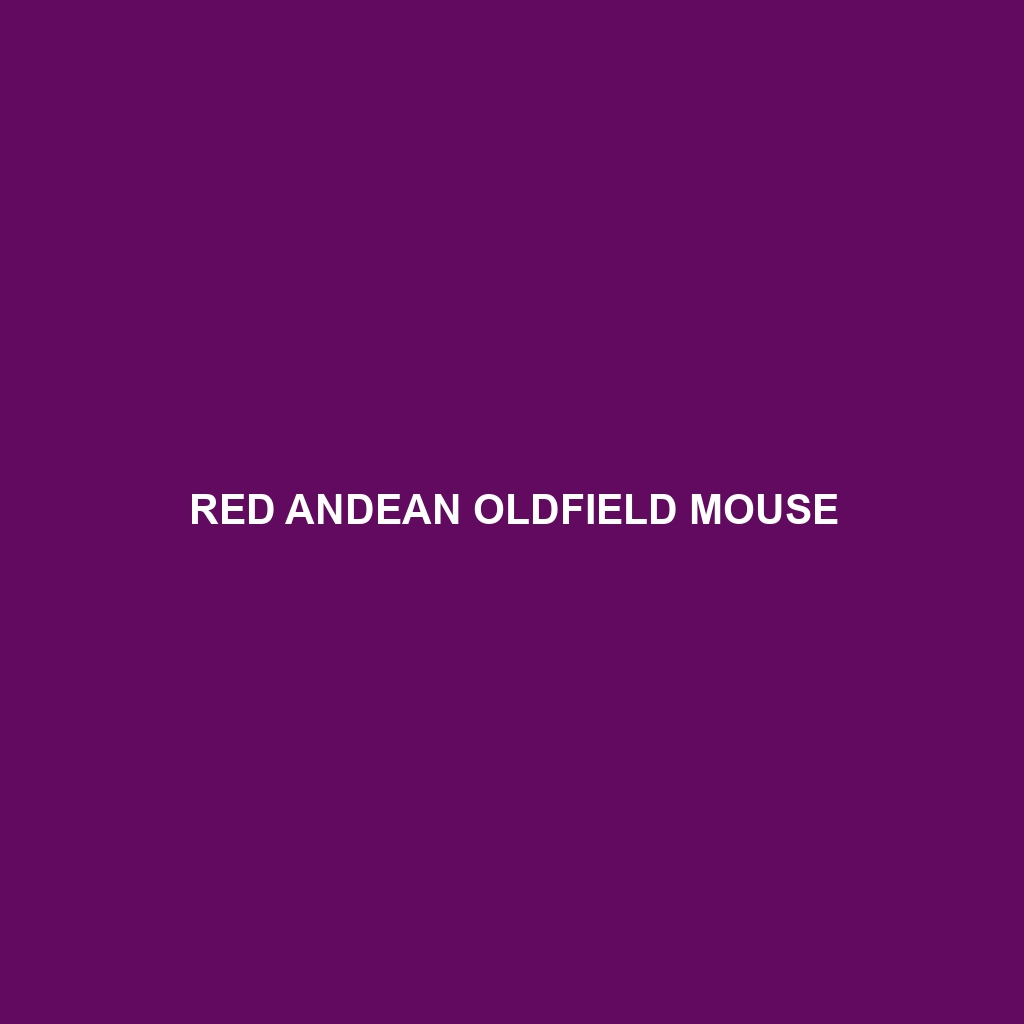 Red Andean Oldfield Mouse