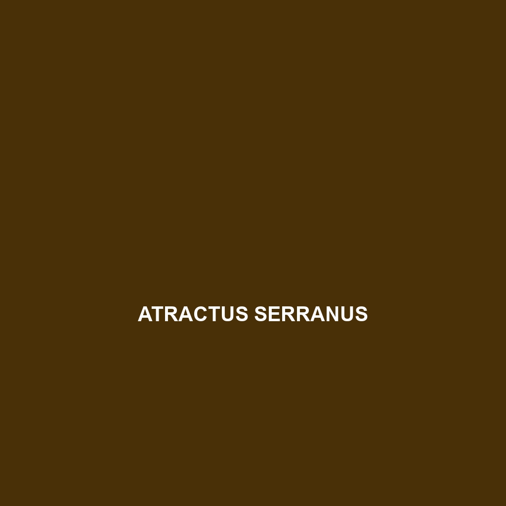 Atractus serranus