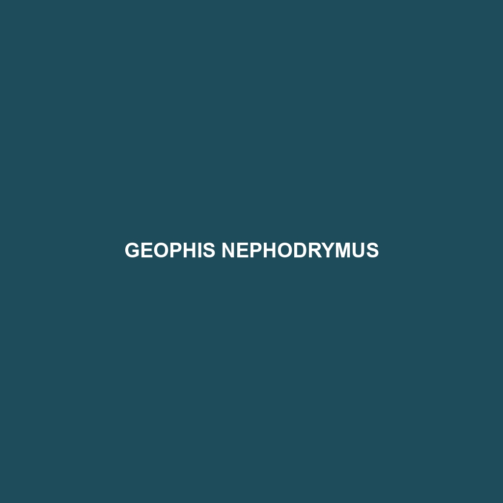 Geophis nephodrymus