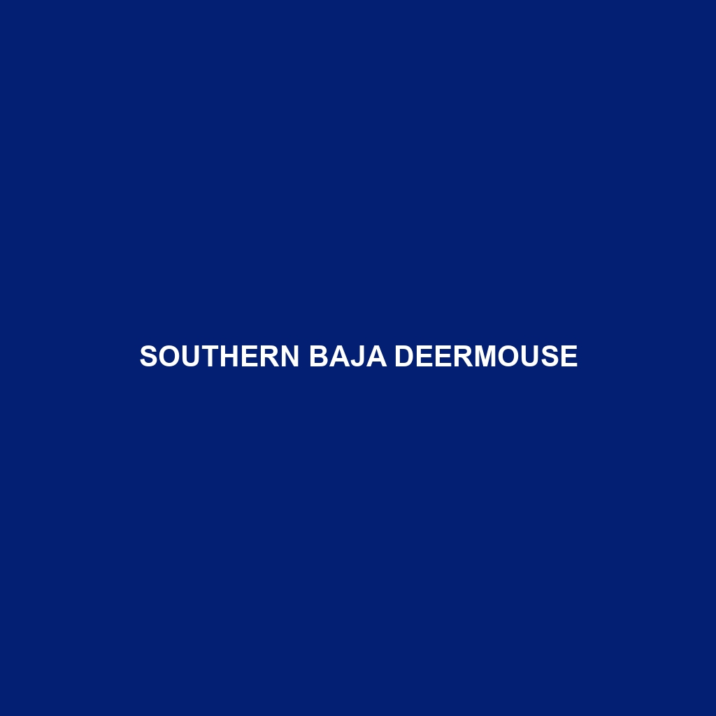 Southern Baja Deermouse