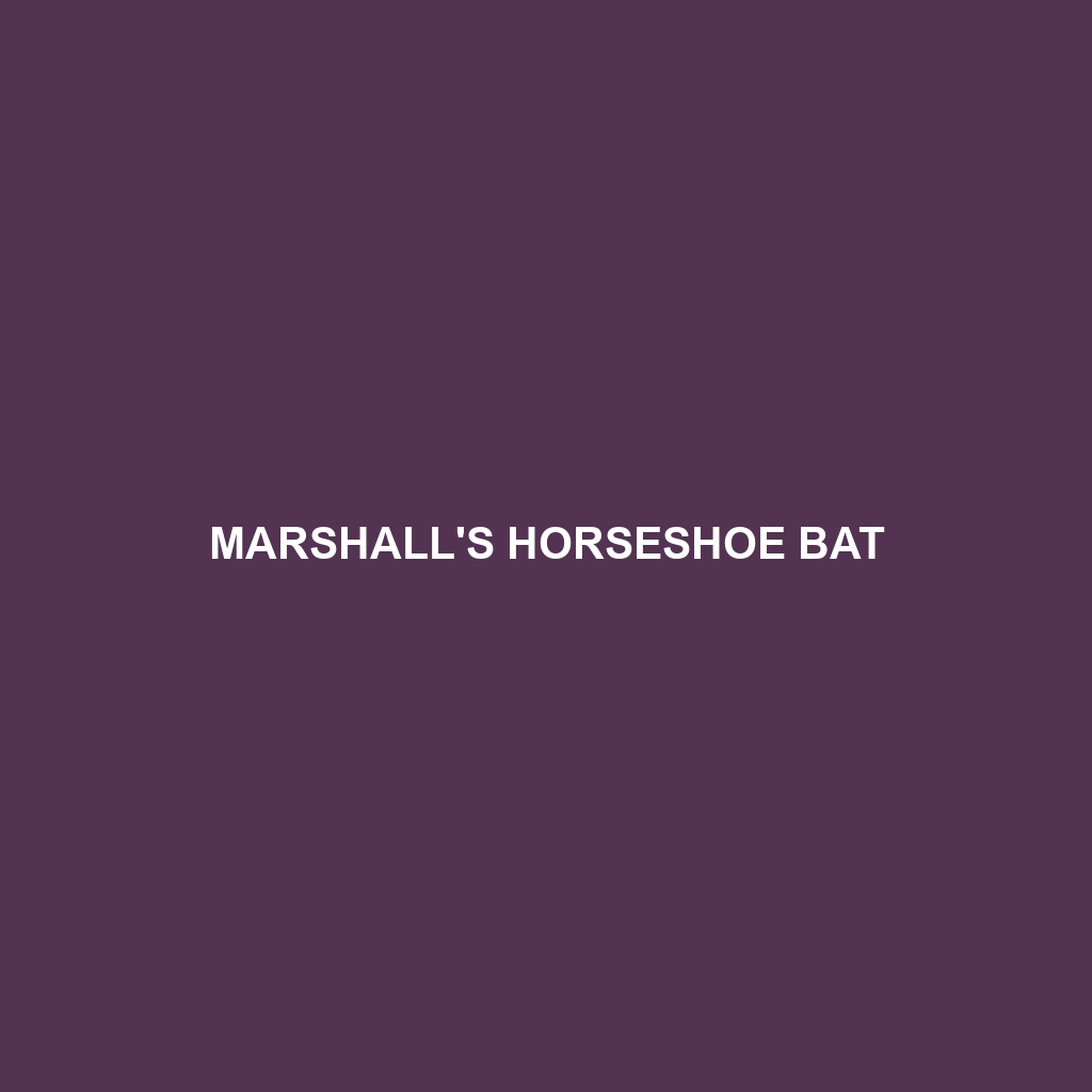 Marshall's Horseshoe Bat