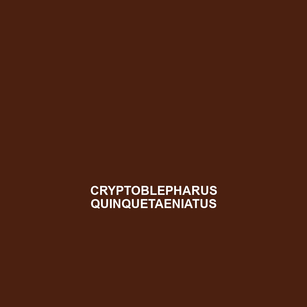 Cryptoblepharus pulcher