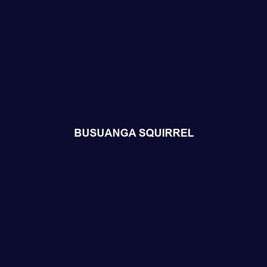 Busuanga Squirrel