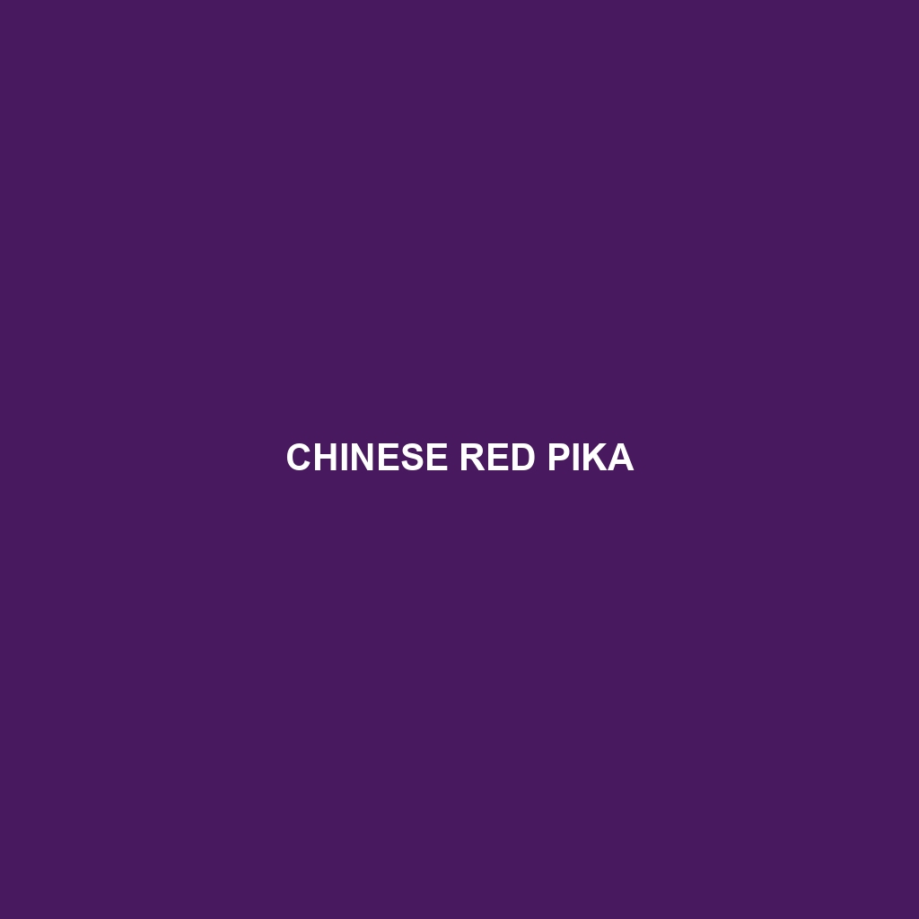 Chinese Red Pika