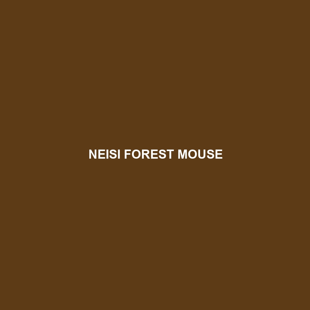 Neisi Forest Mouse