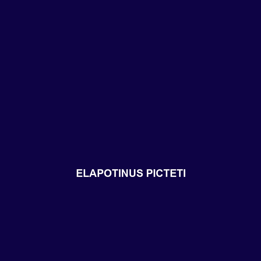 Elapotinus picteti