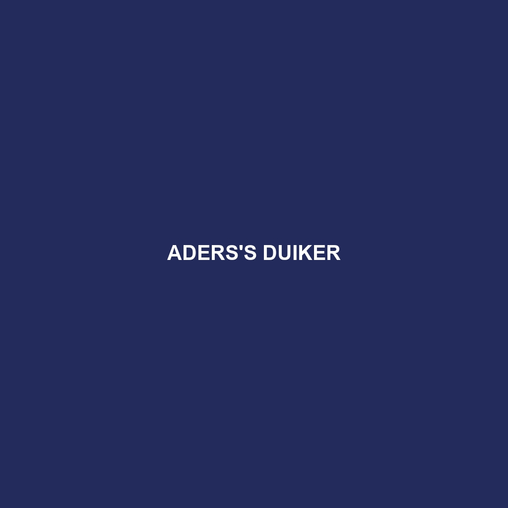 Aders's Duiker