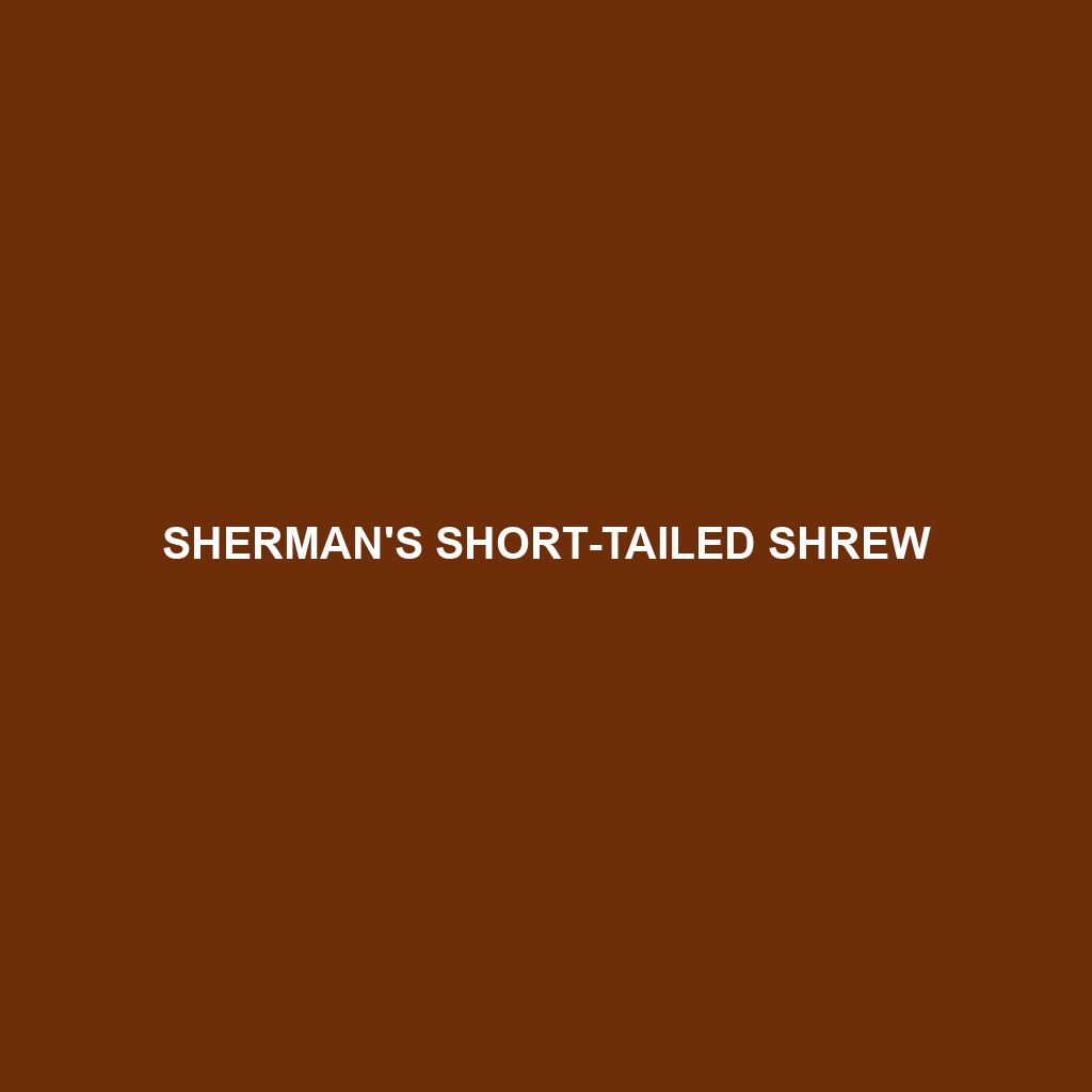 Sherman's Short-tailed Shrew