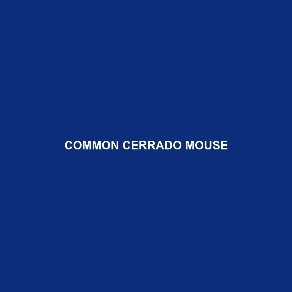 Common Cerrado Mouse