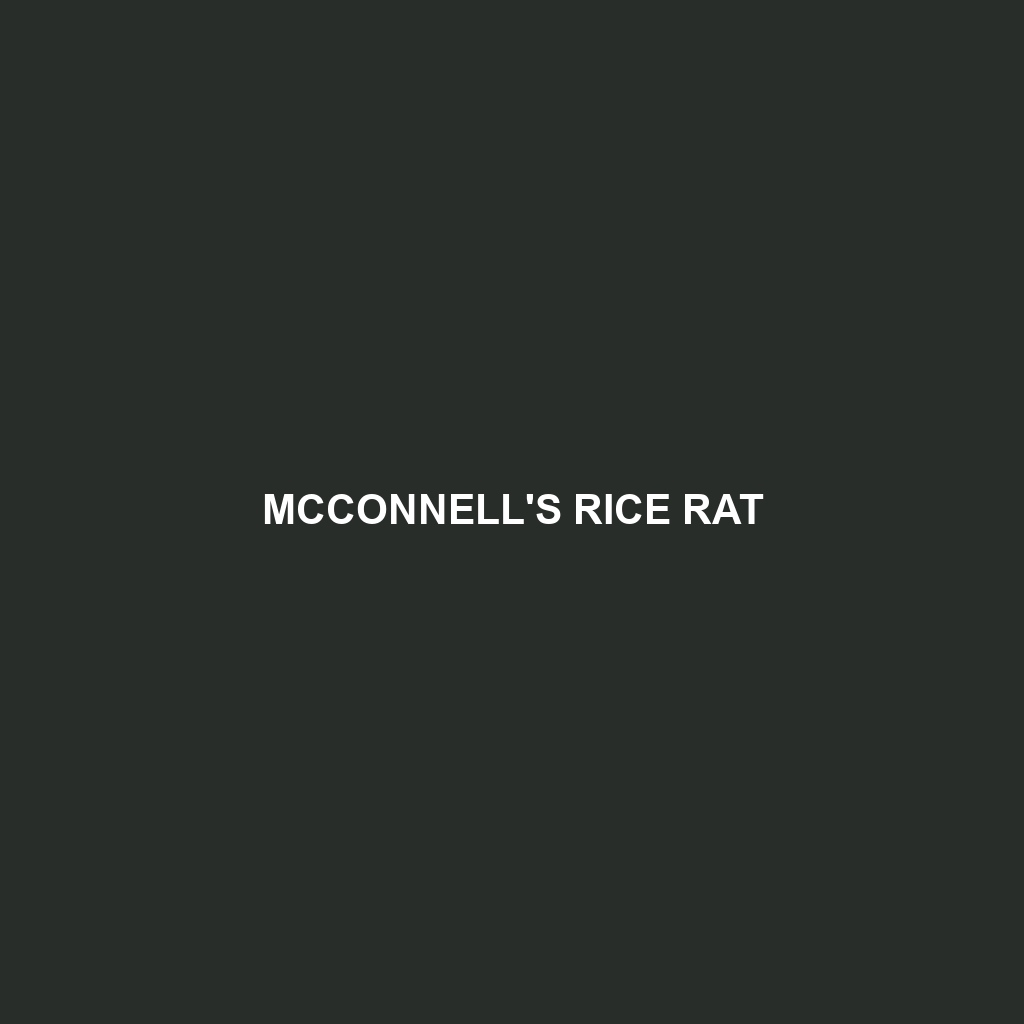 McConnell's Rice Rat