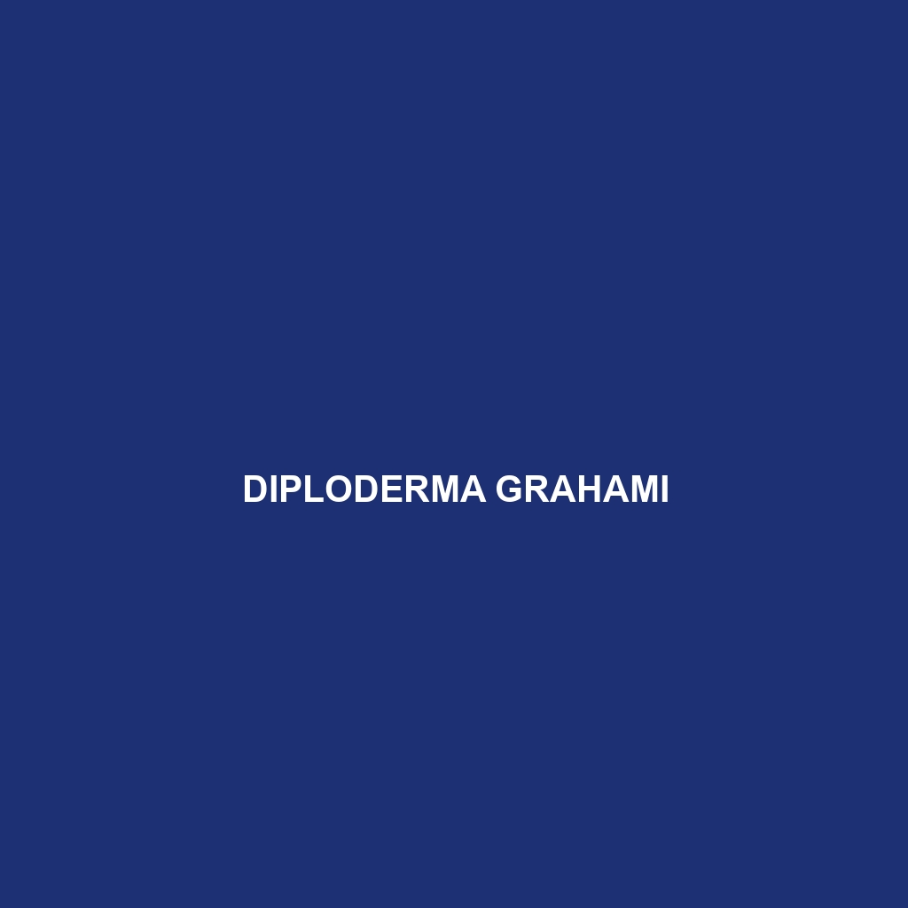 Diploderma grahami