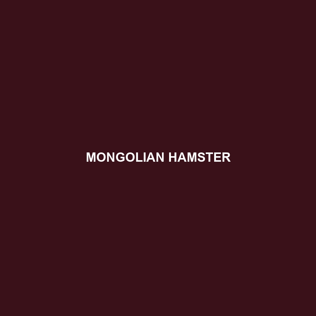 Mongolian Hamster